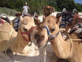 10405675_10101863036836295_2634582628713784481_n