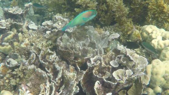 15780656_10103074087820415_1067552718357640851_n