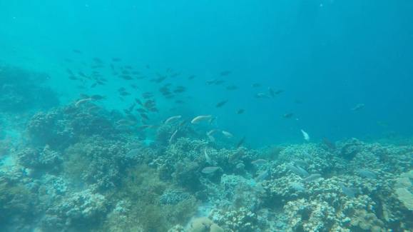 15826855_10103074099122765_3144082307693305700_n